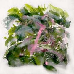 Forest Scenes