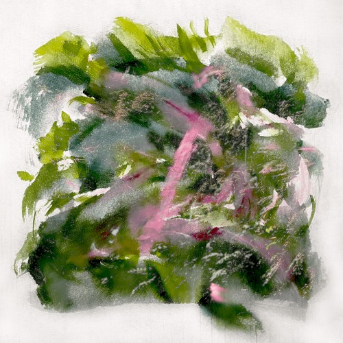 Forest Scenes