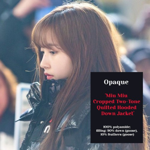 Miu Miu Cropped Two-Tone Quilted Hooded Down Jacket