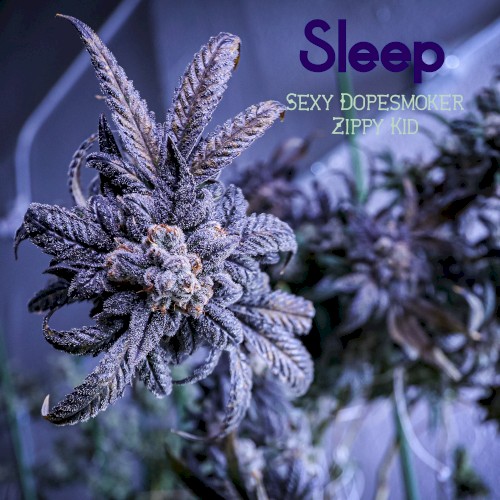 Sexy Dopesmoker Zippy Kid