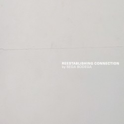 Reestablishing Connection