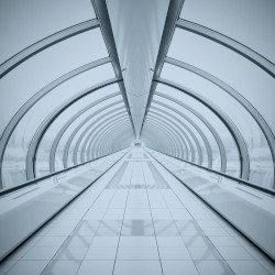 Terminal Phase