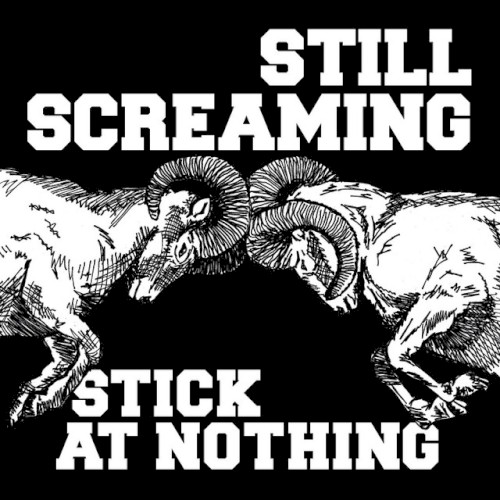 Stick At Nothing