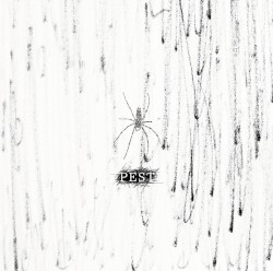 PEST