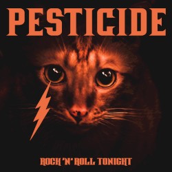 Rock 'n' Roll Tonight