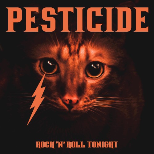 Rock 'n' Roll Tonight