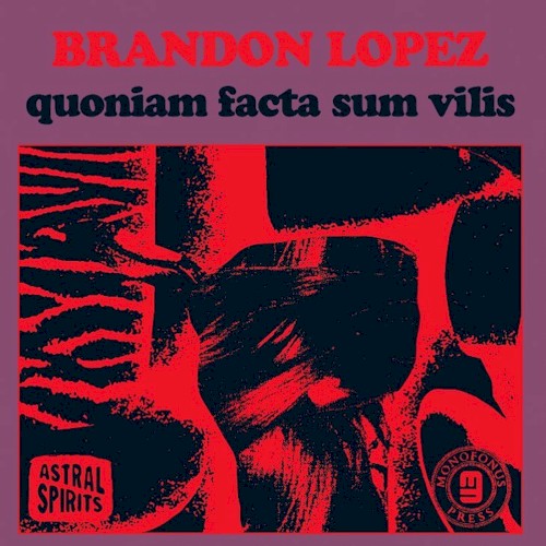 quoniam facta sum vilis