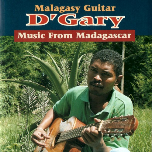 Malagasy Guitar