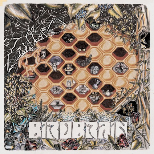 Birdbrain