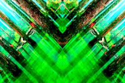 Ur Forest