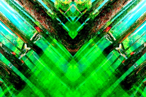 Ur Forest