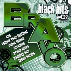 Bravo Black Hits, Vol. 29