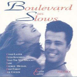 Boulevard des slows, volume 6