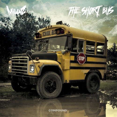 The Short Bus