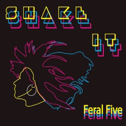 Shake It