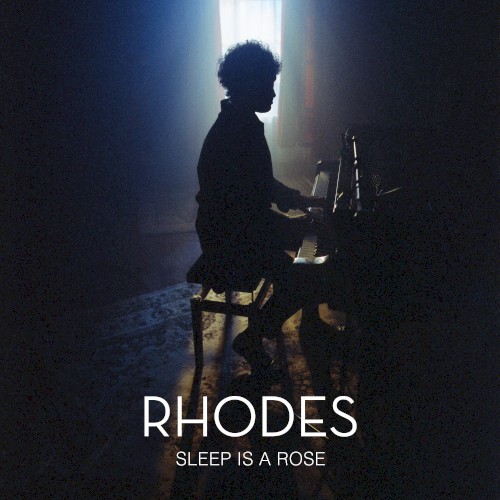Sleep Is a Rose