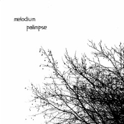 Palimpse