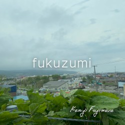 fukuzumi