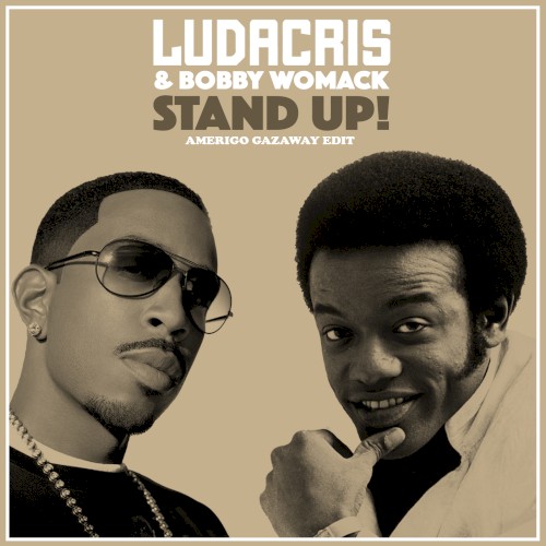 Ludacris & Bobby Womack - Stand Up (Single)