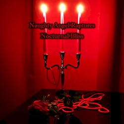 Nocturnal Bliss