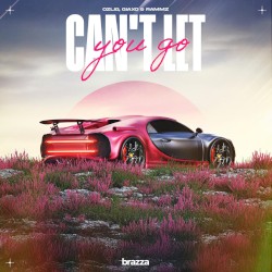 Can't Let You Go
