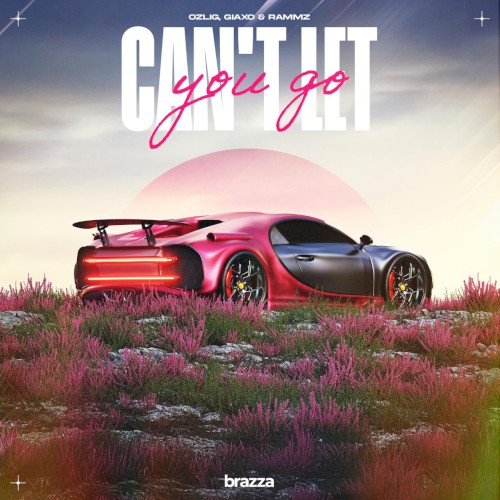 Can't Let You Go