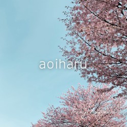 aoiharu