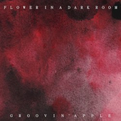 Flower in a Dark Room