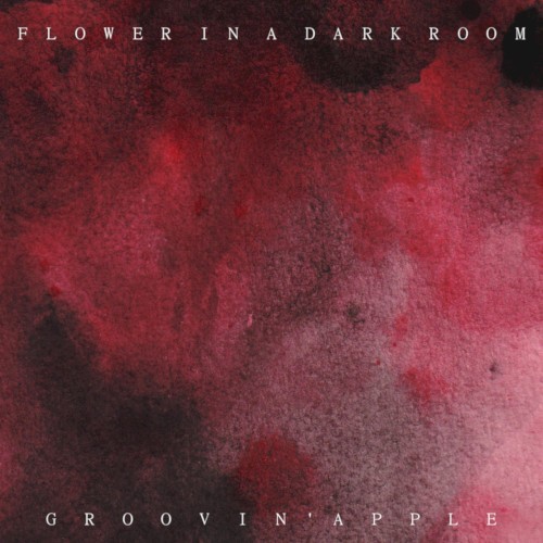 Flower in a Dark Room