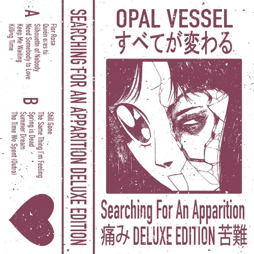 Searching for an Apparition
