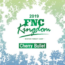 Live 2019 FNC KINGDOM -WINTER FOREST CAMP-