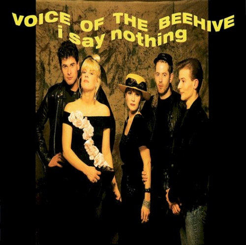 I Say Nothing