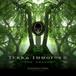 Terra Immotus 2