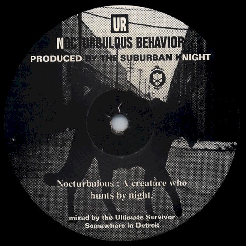 Nocturbulous Behavior