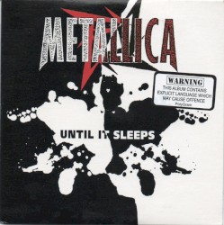 Until It Sleeps