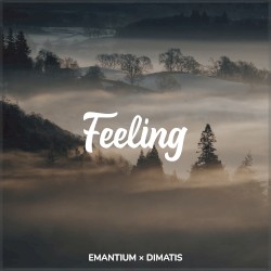 Feeling