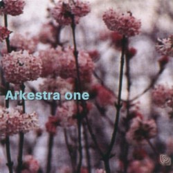 Arkestra One