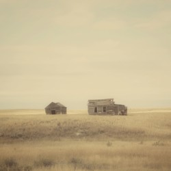 great plains