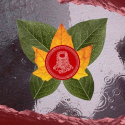 Oath of Affirmation