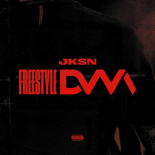 Freestyle DVM