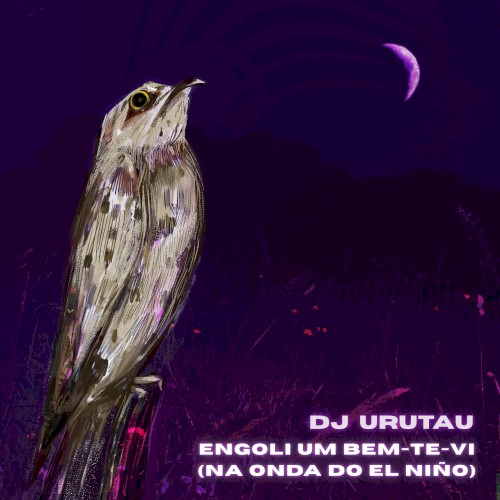 Engoli um bem‐te‐vi (Na onda do El Niño)