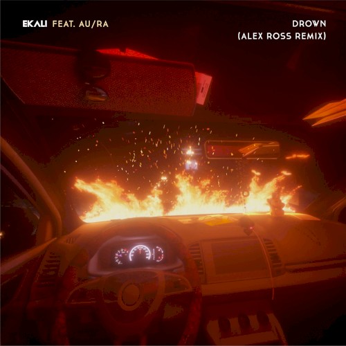 Drown (Alex Ross remix)