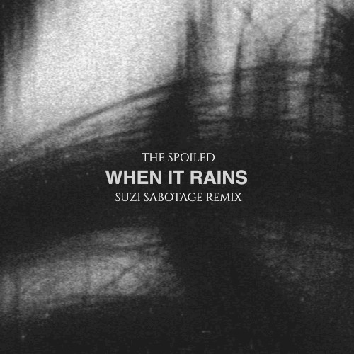 When It Rains (Suzi Sabotage remix)