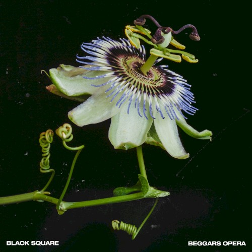 Beggars Opera