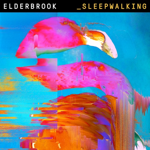 Sleepwalking