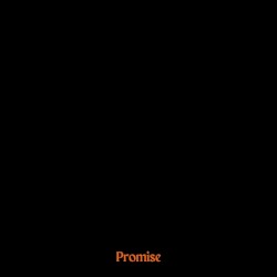 Promise