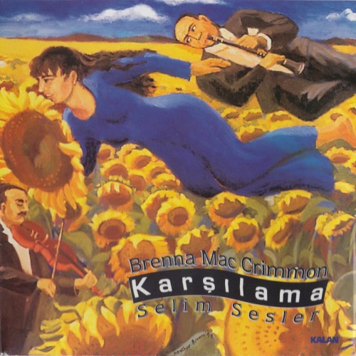 Karşılama