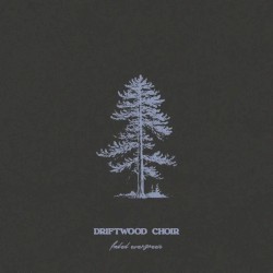 Faded Evergreen