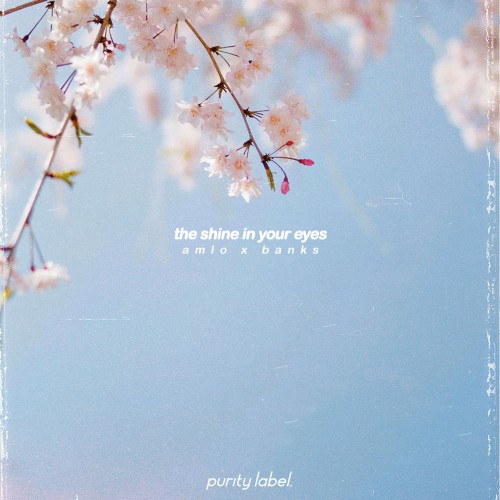 the shine in your eyes