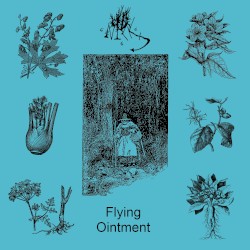 Flying Ointment